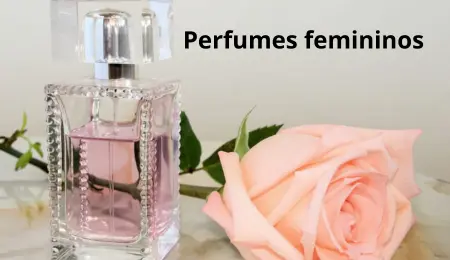 Banner perfumes femininos